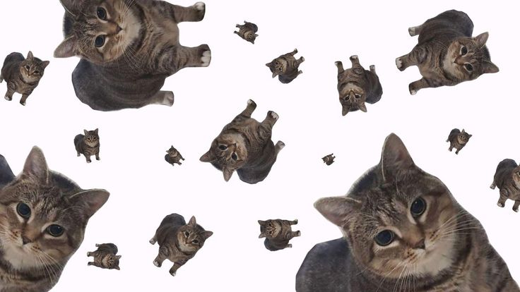 Continuously Updated Global Trend Library