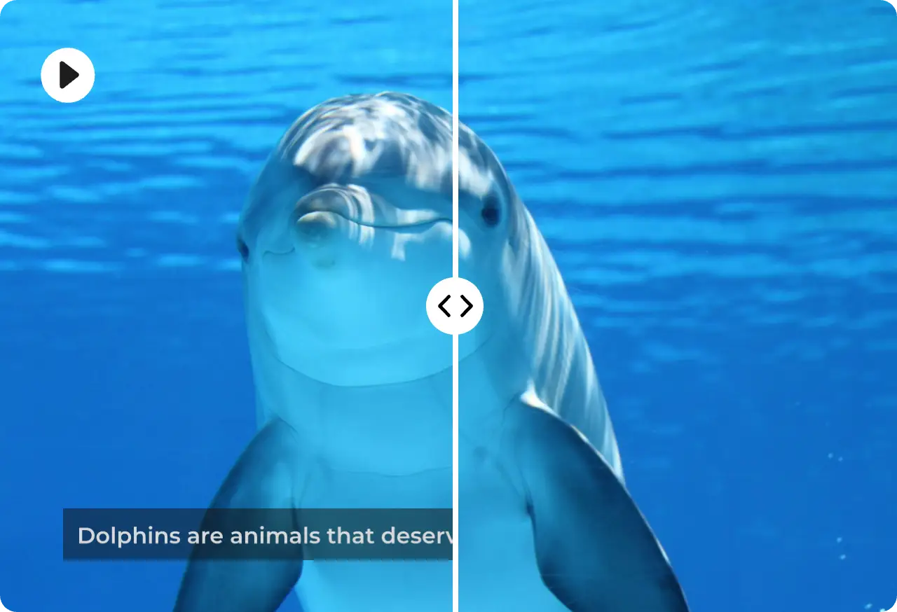 Batch Workflow for Efficiency