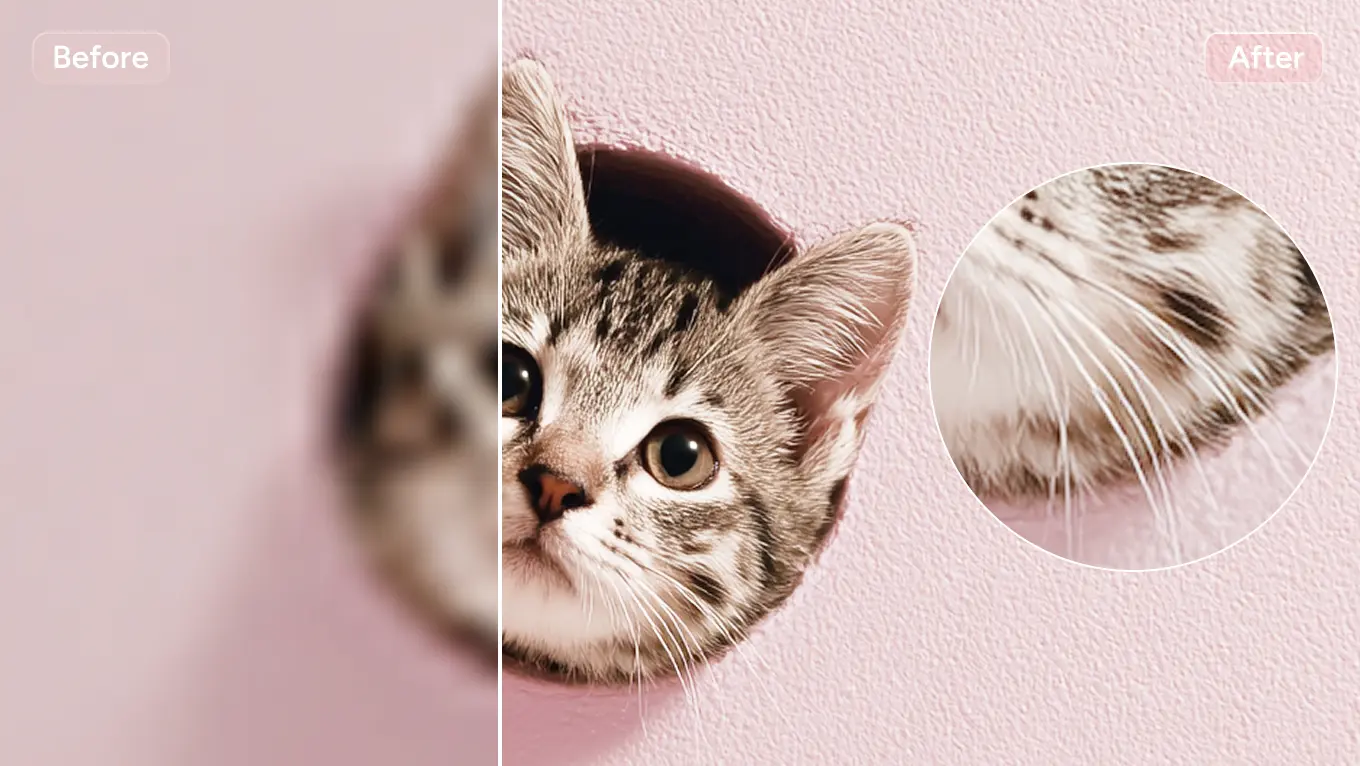 Check the Fine Details After Processing