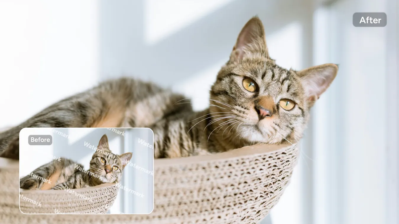 Manual Touch-Ups for Precision