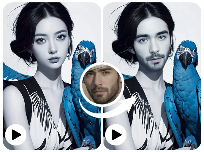 Multi-Face Support + Template Application