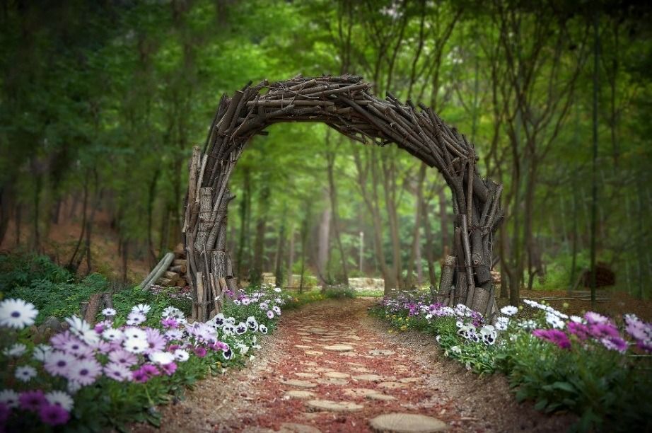 Seamless Image Editing and Enhancement