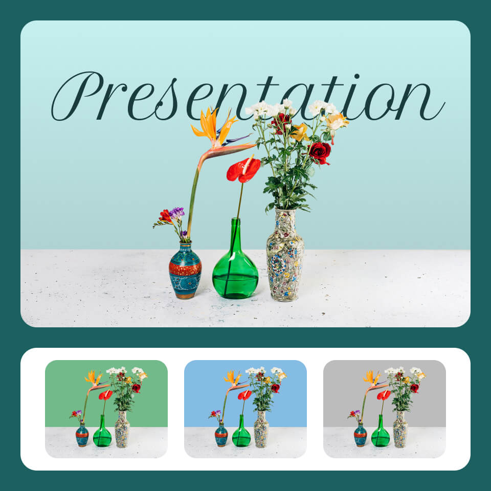 Professional Presentation Assets