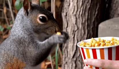 Diverse Artistic Style Filters