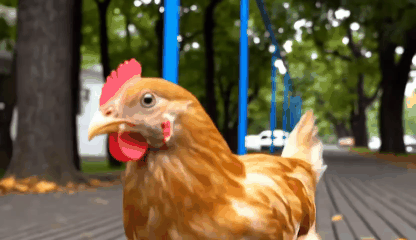 High-Definition Lossless Export