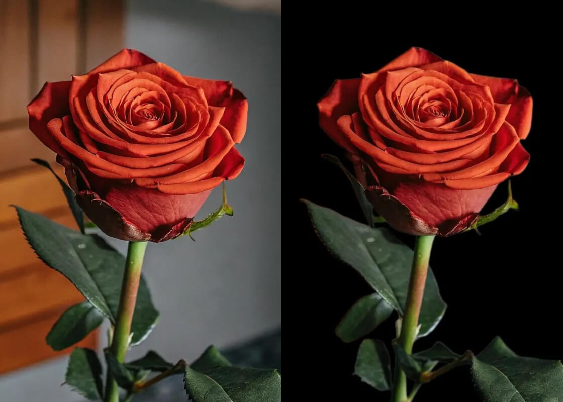 eCommerce Product Highlights