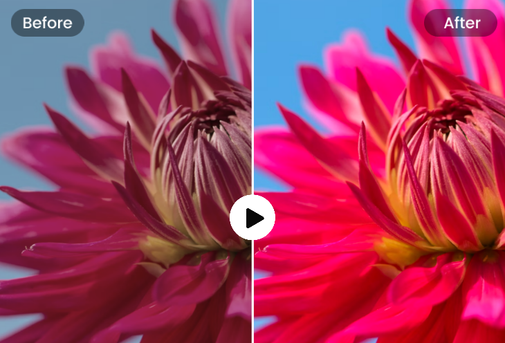 Professional Film Restoration