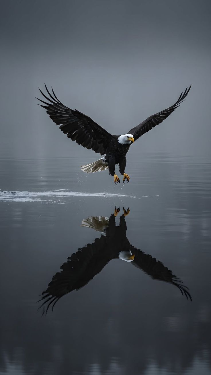 Professional Color Grading