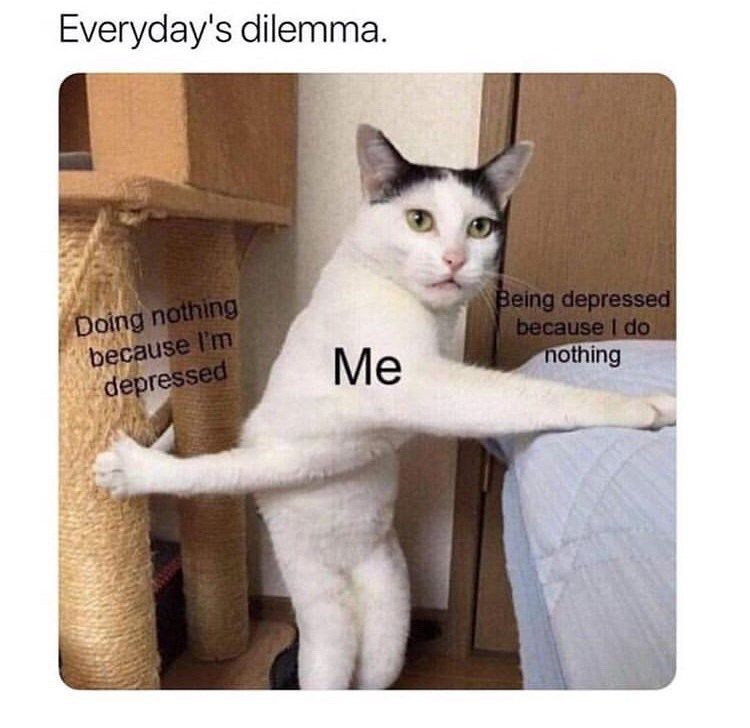 Humor and Meme Tweets