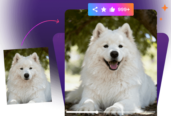 Holiday & Celebration Clips