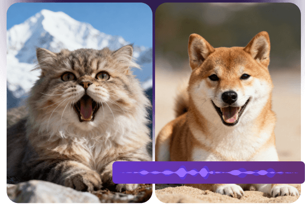 Brand Marketing & Advertising