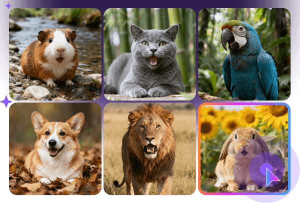 Education & Children’s Storytelling