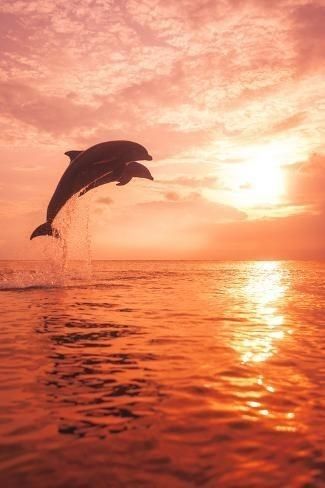 Production-Ready Quality