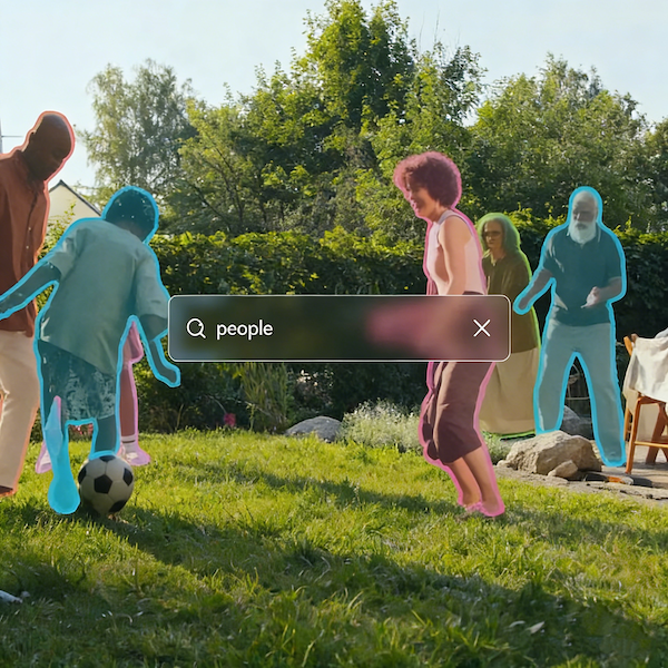 Text Prompts: Let Words Guide Your Segmentation