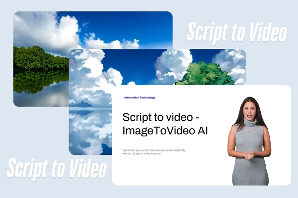 Content Creators & Self-Media Publishers