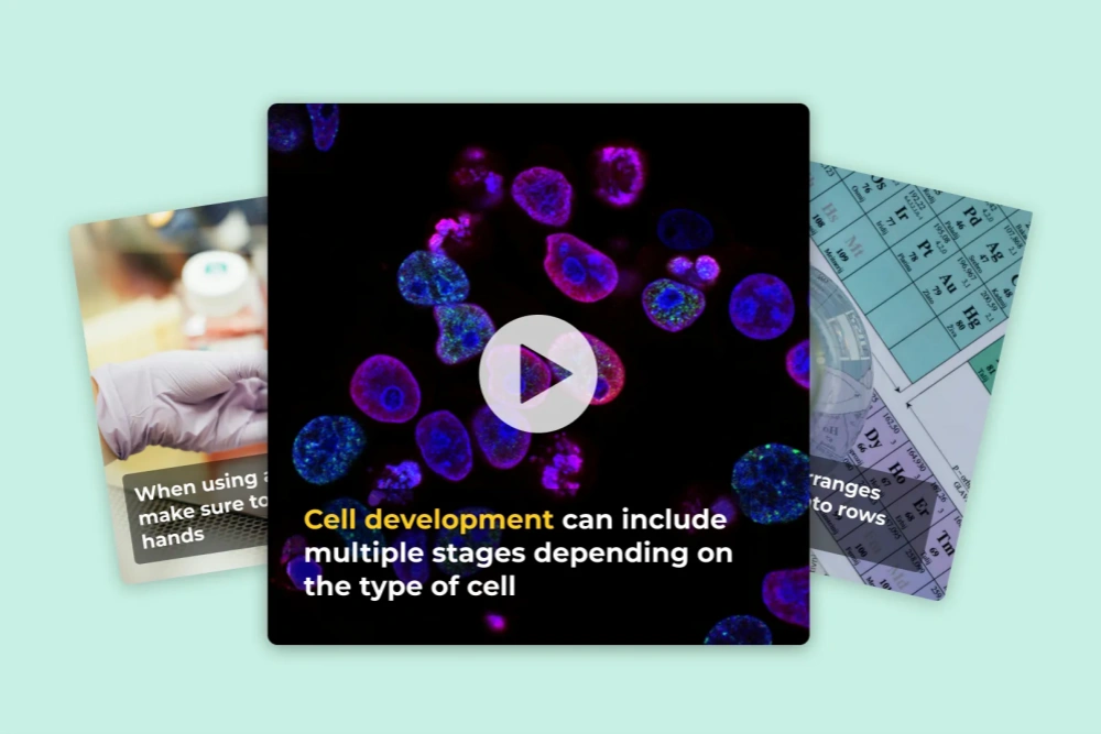 Educational Material and Study Resources