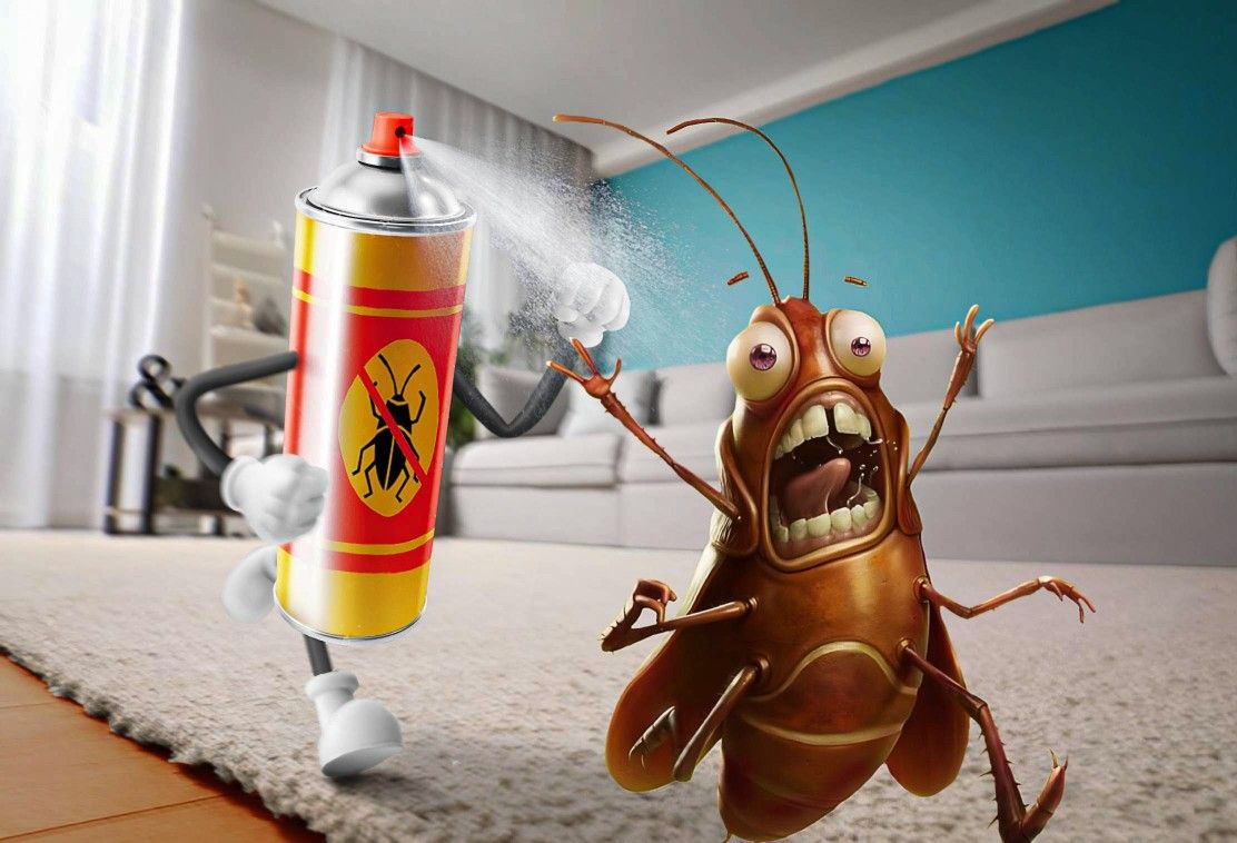 Content Creators and Designers