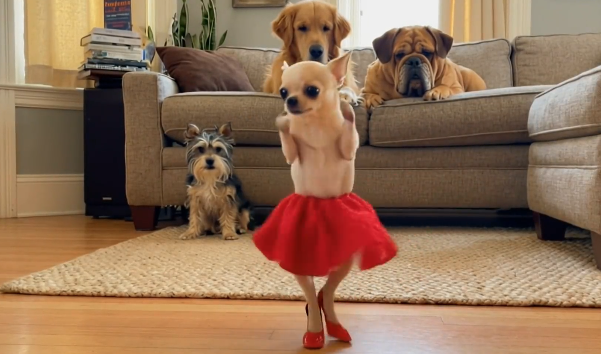 Safe and Secure Experience