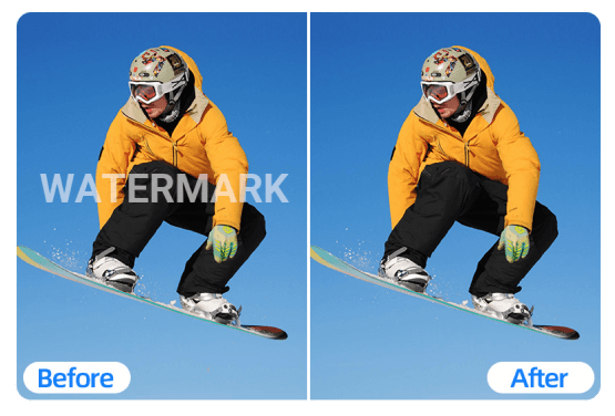 TikTok Watermark Remover