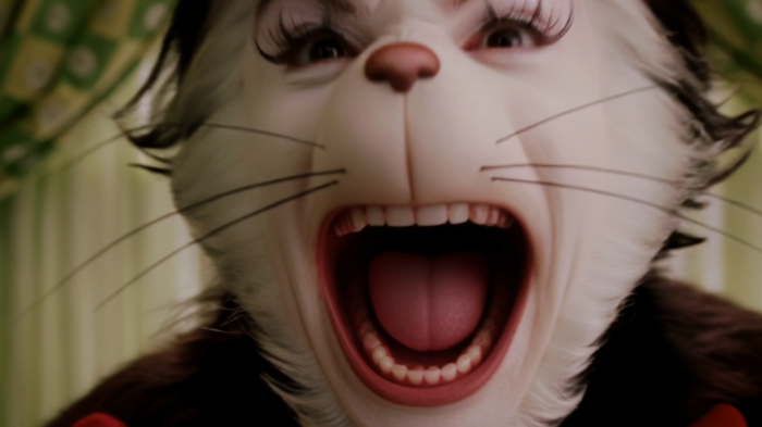 Facial Expression Clips