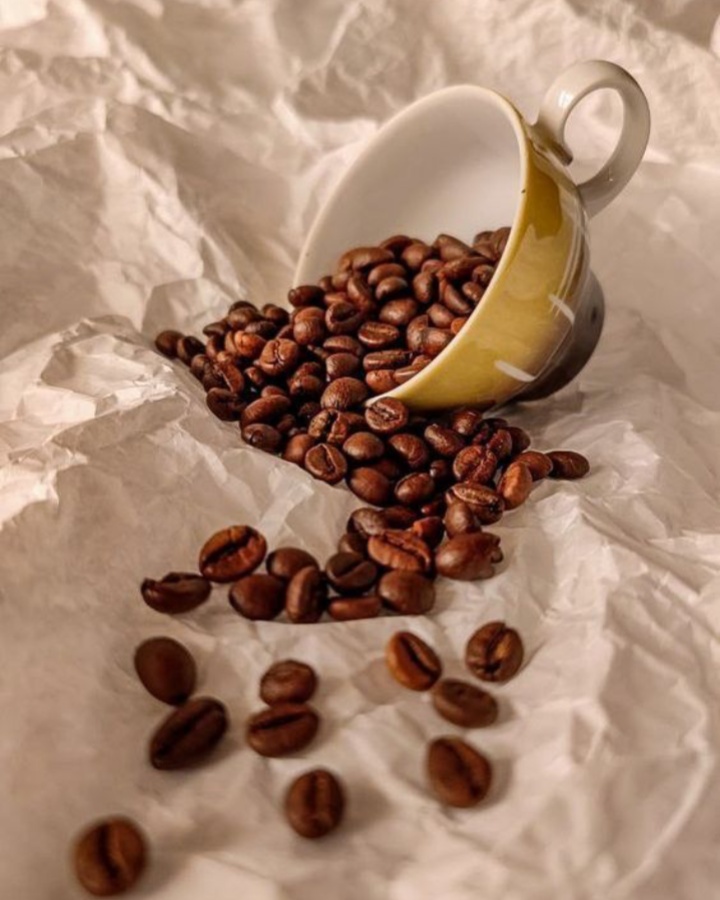 Commercial-Grade Visual Quality