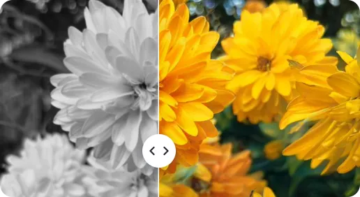 Exceptional Color Accuracy