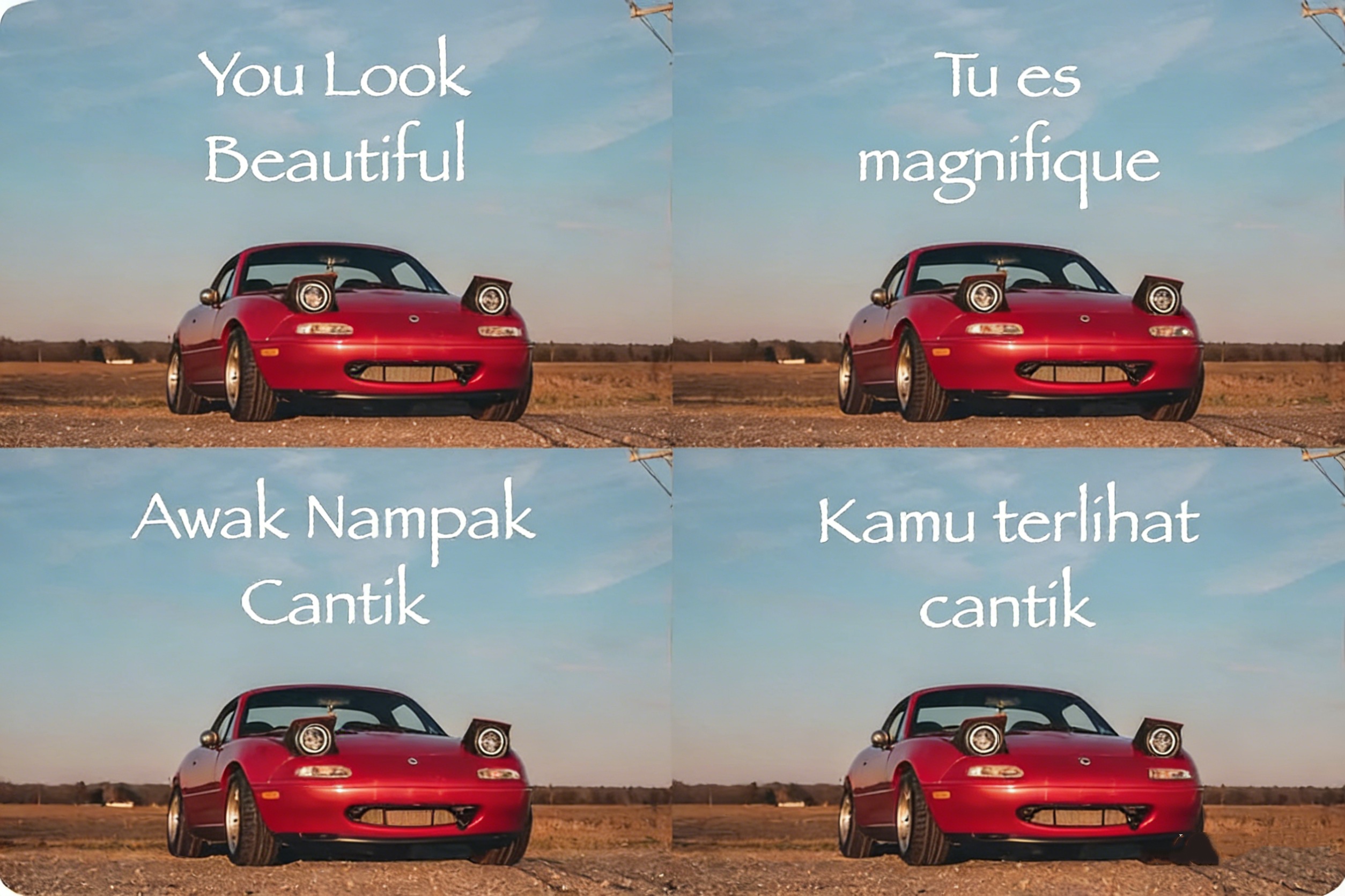 Multi-Language Instant Translation