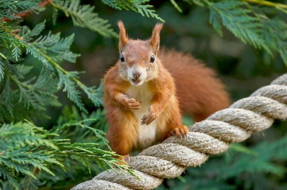 Film Concepts and Storyboarding