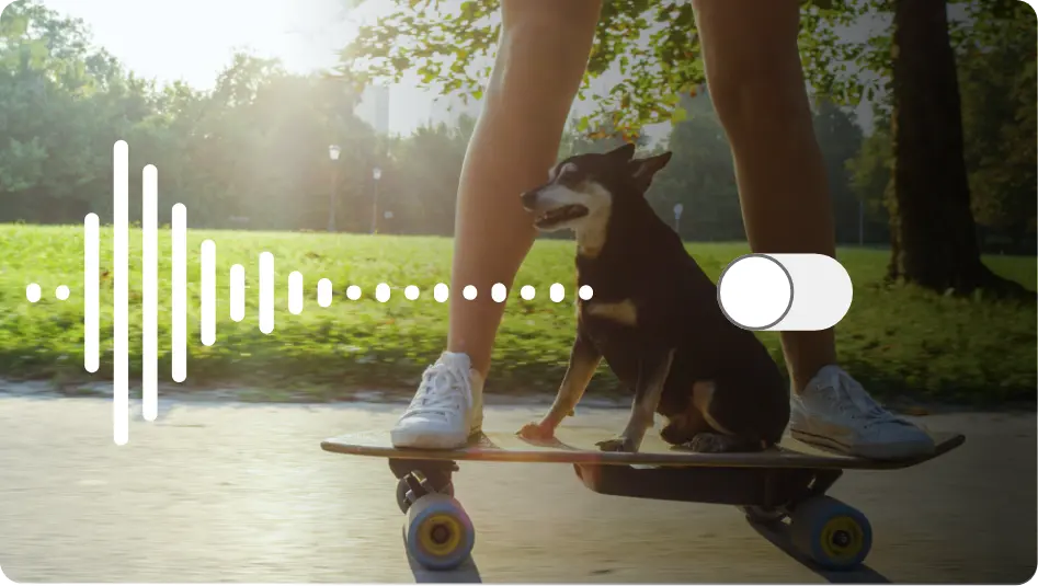 Preview Before Final Export