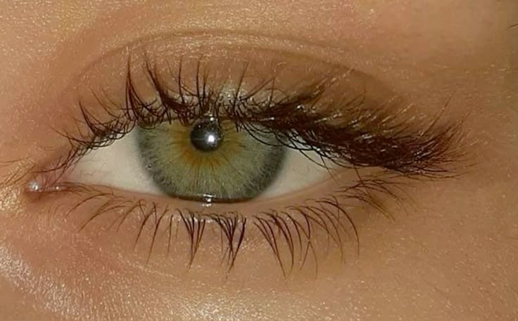 Short-Form and Social Media Creators