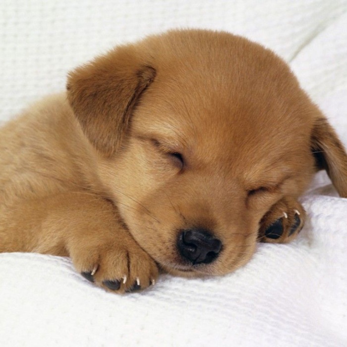 Character-Driven Narrative Videos