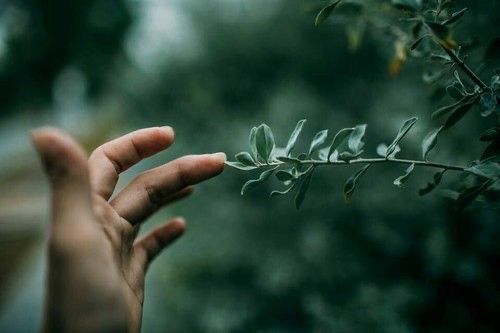 IP and Virtual Character Operations