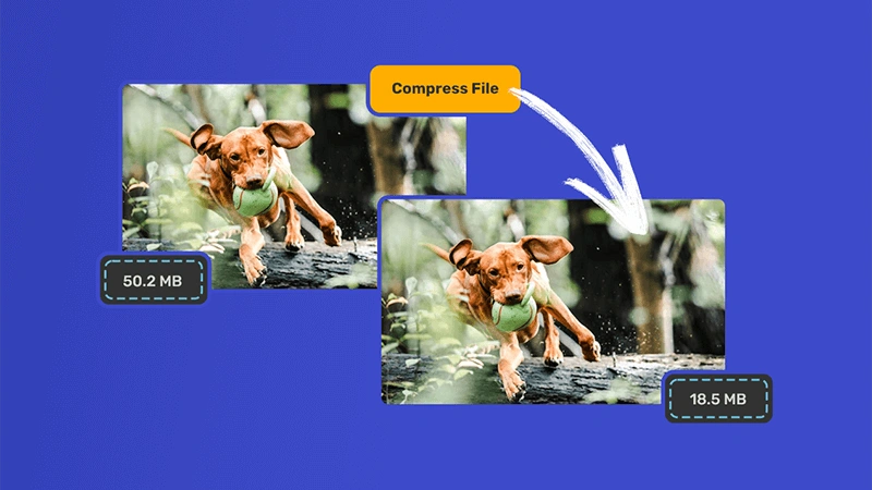 Breaking Social Media File Limits