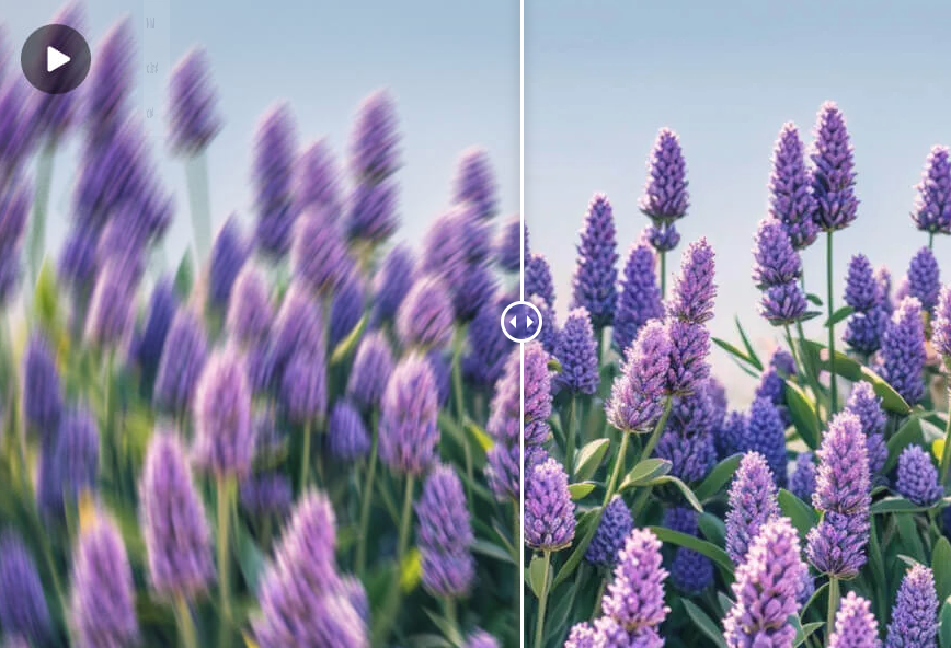 Automatic Motion Detection