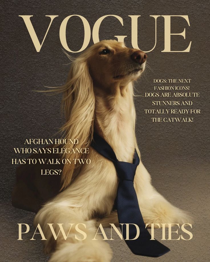 Classic & Elegant Outfits