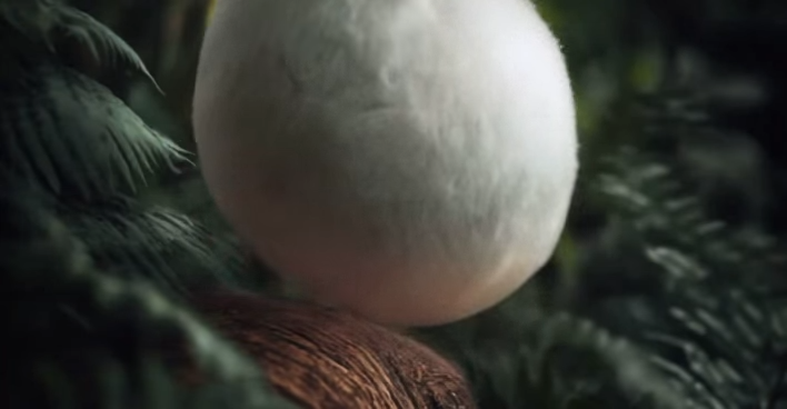 Designers and Illustrators