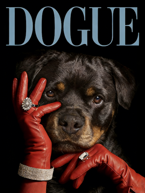 Playful & Whimsical Designs