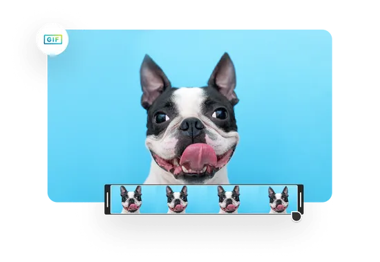 Resolution & Frame Rate Control