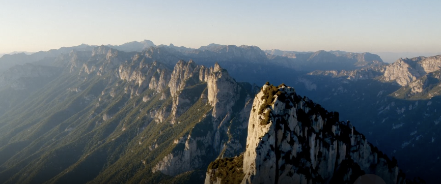 AI Developers and Product Builders